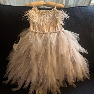 Tutu Du Monde Dress